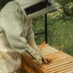 paolo-tognoni-DhK6wxGDTNw-unsplash